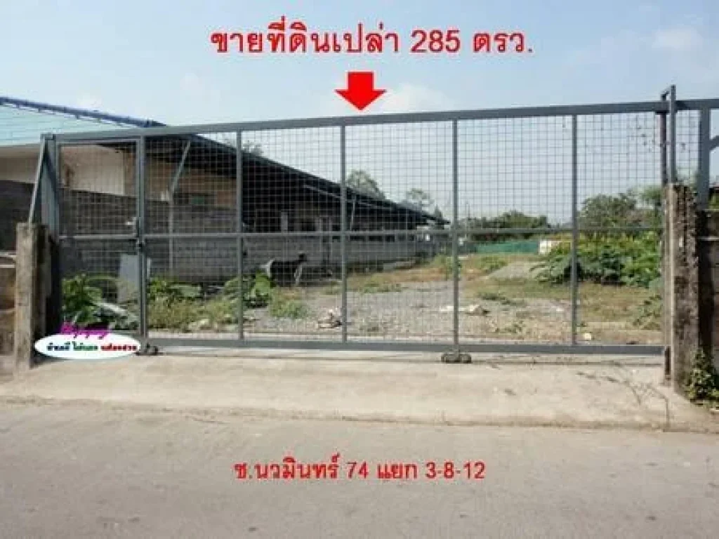 ขายที่ดินเปล่า 285 ตรว ซนวมินทร์ 74 ติดถนนคอนกรีต 2 ด้าน ปรับถมสูงกว่าถนน น้ำไม่ท่วม ทำเลดี ภายในหมู่บ้านเคหะธานี 3