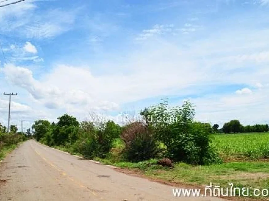 ที่ดินลพบุรี 16 ไร่ 49 ตรวตยางโทน อหนองม่วง จลพบุรีรหัส3322