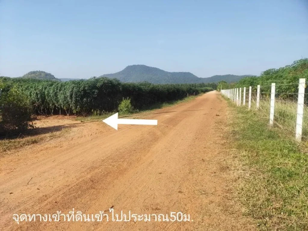 ขายที่ดินราชบุรี ตหนองกวาง อโพธาราม เนื้อที่ 2ไร่