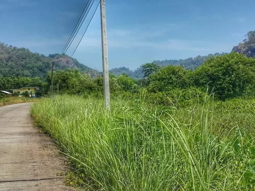 ขายที่ดินติดผา วิวสวย ใกล้ธรรมชาติ หลังติดเขา หน้าติดถนน เขตเขาใหญ่ โฉนด