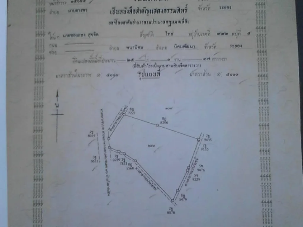 ขายที่ระยอง 25 ไร่ 1 งาน 17 ตรว ราคาไร่ละ 3 ล้านบาท แบ่งขายหรือขายยกแปลง