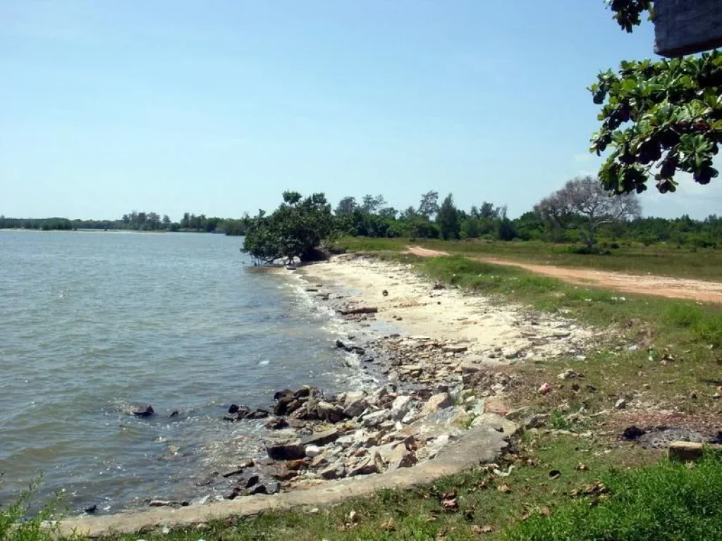 ที่ดิน33ไร่ ติดทะเลหาดส่วนตัว200ม ใกล้สวนหินร็อคการ์เด้นบีชรีสอร์ท