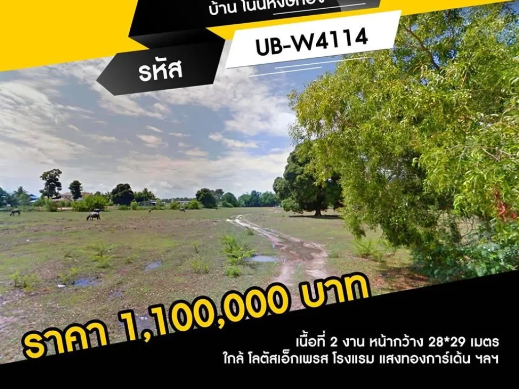 ขายที่ดินทำเลทอ