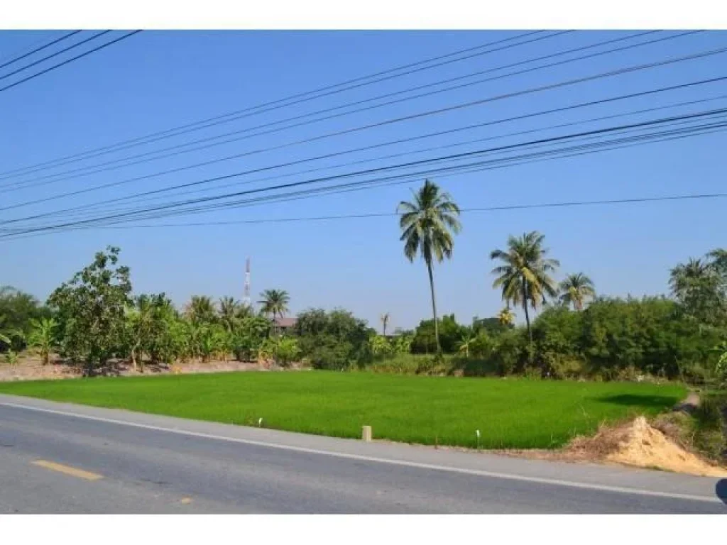 ที่ดินติดถนนบ้านกล้วย-ไทรน้อย