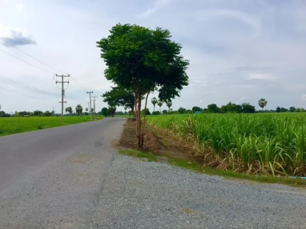 ขายที่ดินไร่อ้อย 36ไร่ ออู่ทอง สุพรรณ ที่ดินสวยวิวเขาติดถนนดำ