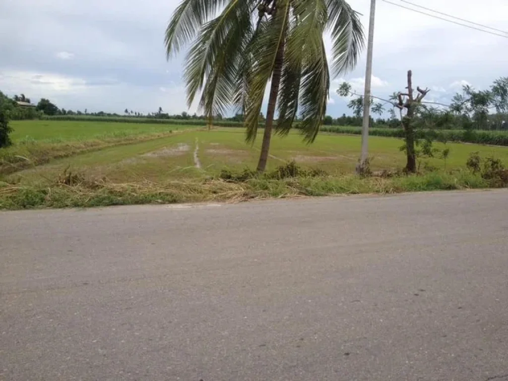 ขายที่ดินเปล่า จังหวัดสุพรรณบุรี เนื้อที่6-1-80 ไร่ ที่สวย ทำเลดี