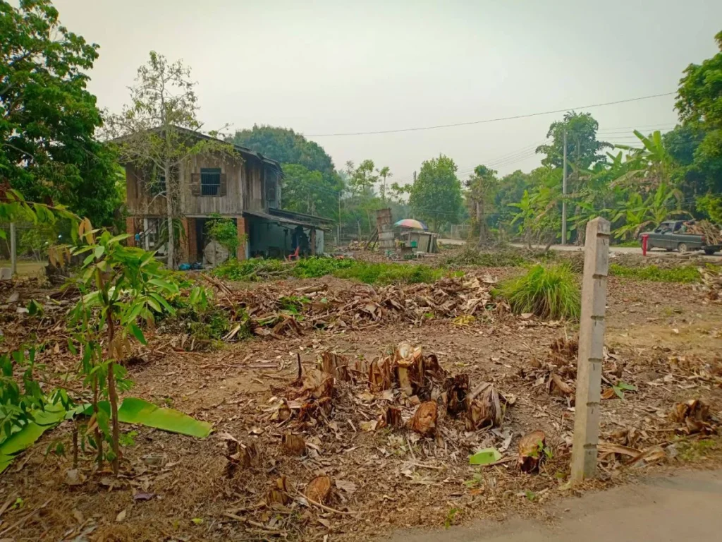 ขาย ที่ดิน สารภี เหมาะสร้างบ้านอยู่อาศัย