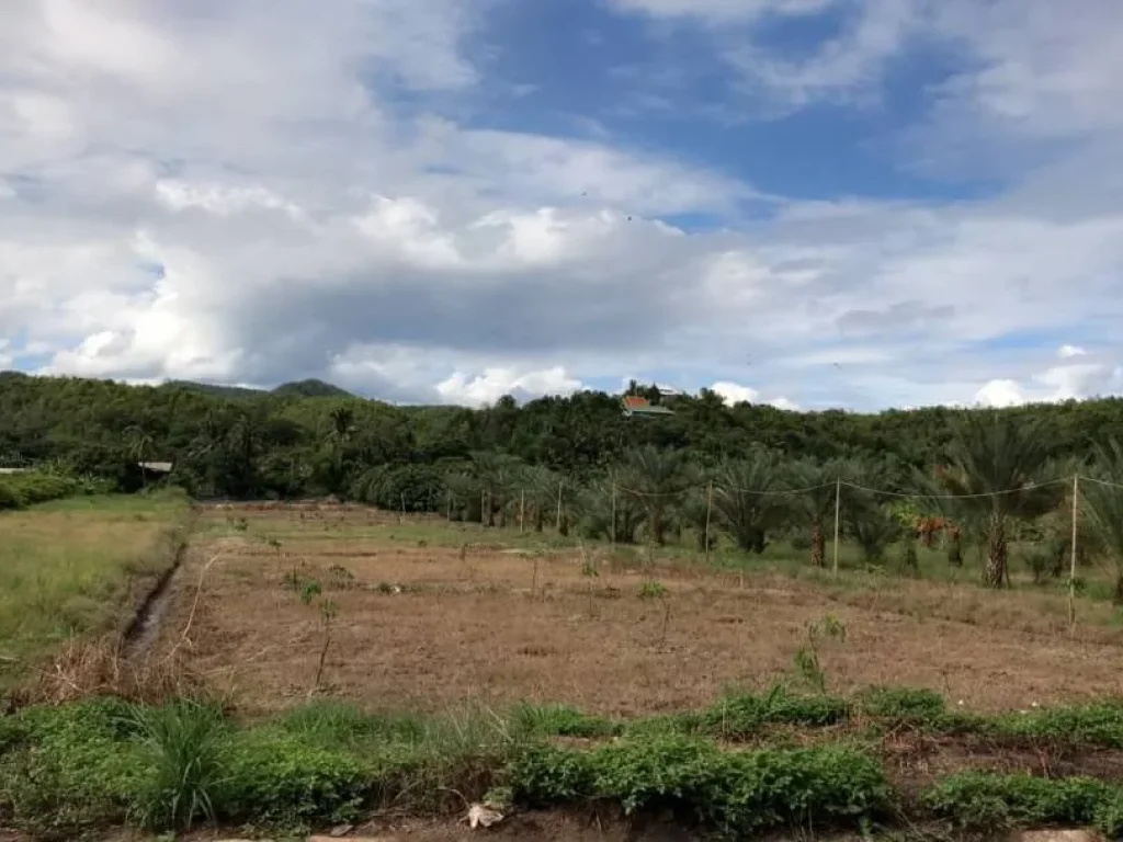 ขายที่สวนน้ำบ่อหลวง สันป่าตอง เชียงใหม่