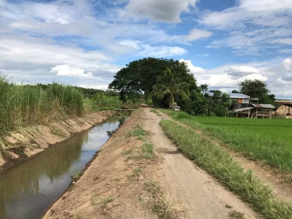 ขายที่สวนน้ำบ่อหลวง สันป่าตอง เชียงใหม่