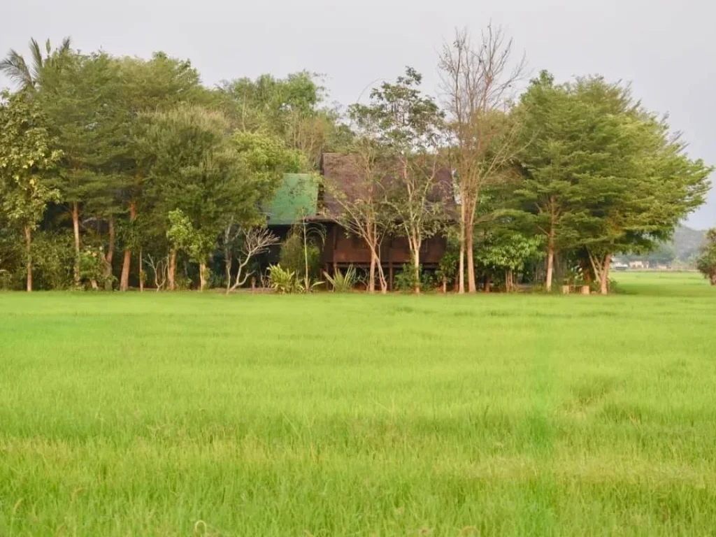 ขายบ้านพร้อมที่ดินห่างข่วงสิงห์ 17 km แม่ริม