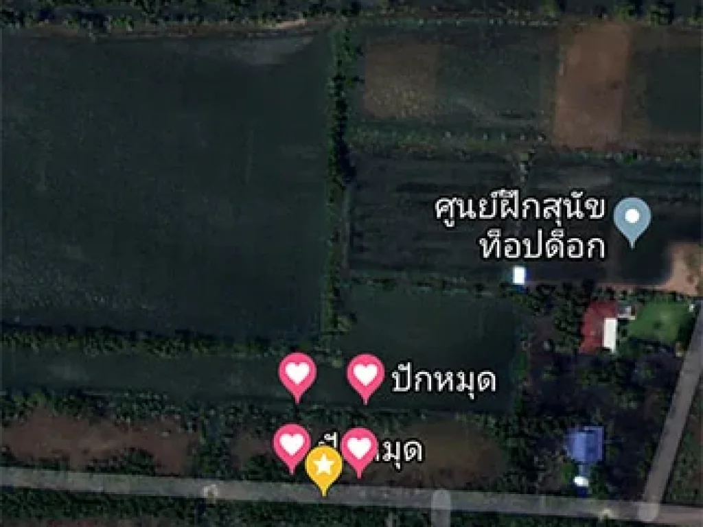 ขายที่ดินเปล่า ติดน้ำ 207 ตรว ถมแล้ว หมู่บ้านอริสรา หลักชัย ลาดบัวหลวง อยุธยา LA0138