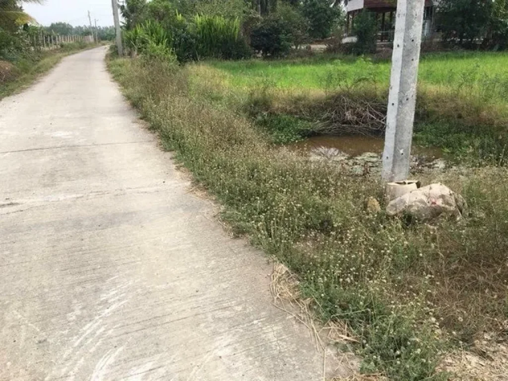 ขายที่ดินเปล่า ที่สวย ทำเลดีจังหวัดสุพรรณบุรี เนื้อที่6-0-80 ไร่