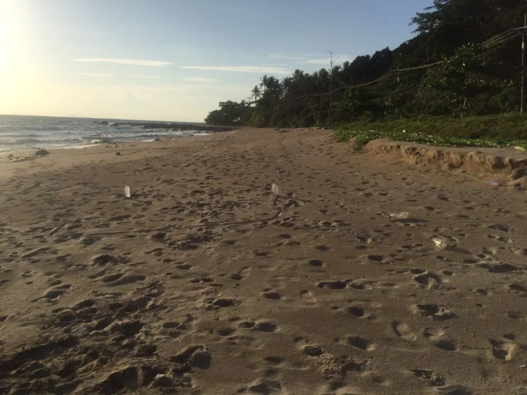 ที่ดินติดหาดบนเกาะลันตา