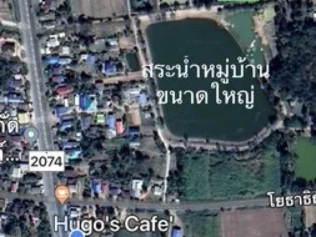 ขายด่วนที่ดินเปล่า บ้านหนองติ้ว คูเมือง จังหวัดบุรีรัมย์ เนื้อที่ 5 ไร่