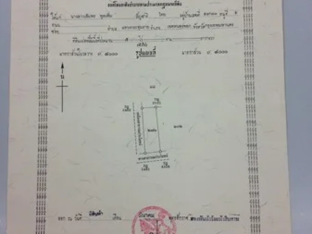 ขายด่วนที่ดินเปล่า บ้านหนองติ้ว คูเมือง จังหวัดบุรีรัมย์ เนื้อที่ 5 ไร่