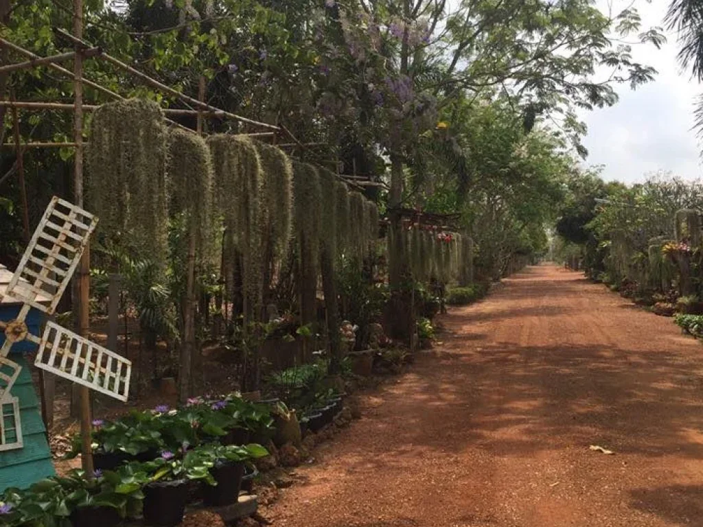 ขายที่ดินเปล่า ติดถนน กบินทร์บุรี จังหวัดปราจีนบุรี