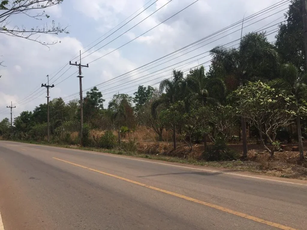 ขายที่ดินเปล่า ติดถนน กบินทร์บุรี จังหวัดปราจีนบุรี