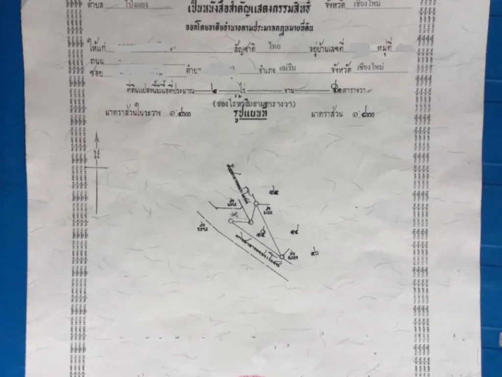 ขายที่ดิน เนื้อที่ 4-1-95ไร่ โป่งแยง โฉนด เนินดอย วิวภูเขา ติดถนนแม่ริม-สะเมิง โซนแหล่งท่องเที่ยว