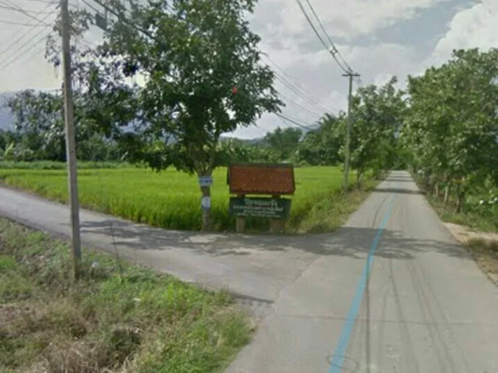 ขายที่ดินวิวดอย สันป่าตอง บ้านกลางแม่วาง เชียงใหม่