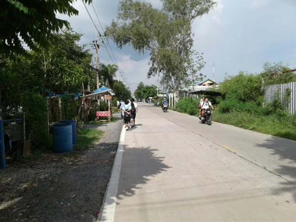 ขายที่ดิน 200 ตรว เขตคลองหลวง-ปทุมธานี