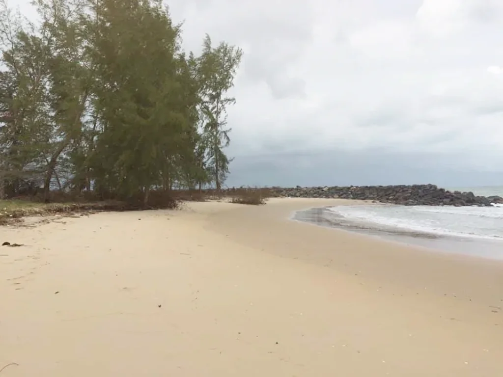 ขายที่ดิน ริมชายหาด หาดทุ่งใส หมู้บ้าน บ้านสิชล ตทุ่งใส อสิชล จนครศรีธรรมราช