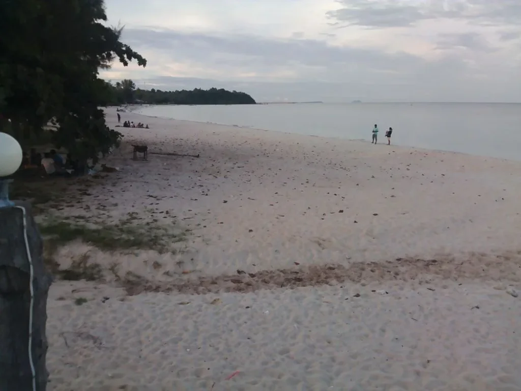 ขายที่ดินเปล่า 3 ไร่ ใกล้หาดทุ่งวัวแล่นบีช ชายหาดสวยที่สุดชุมพร ปะทิว ชุมพร