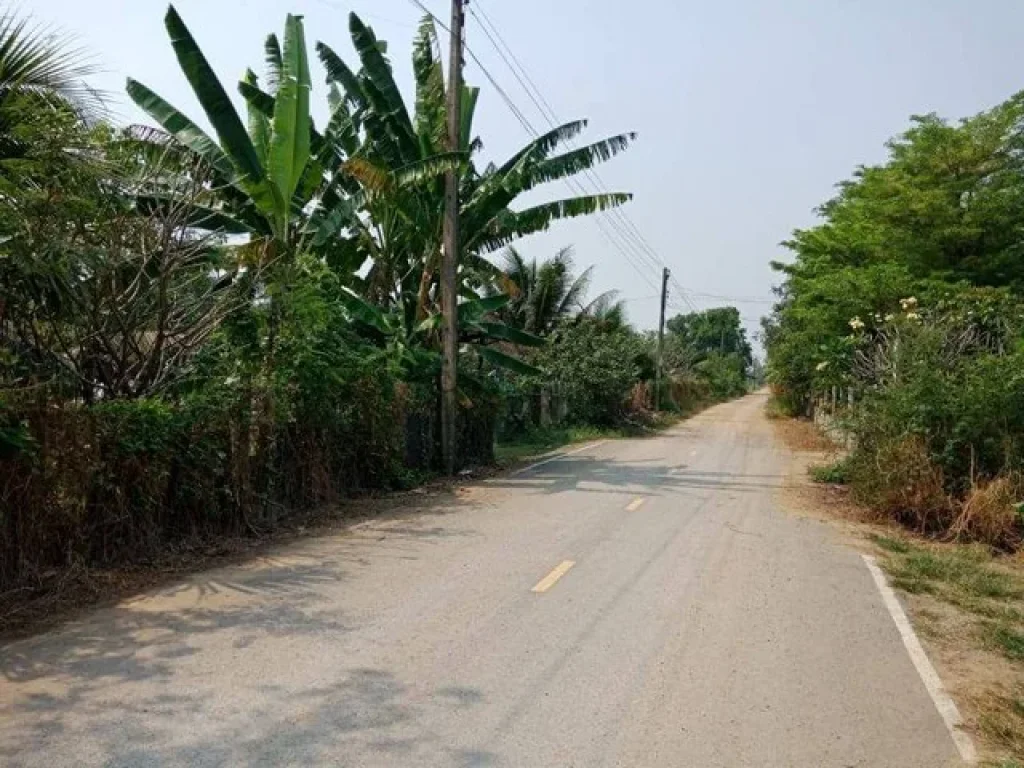 ขายที่ดิน สวนผลไม้พันธุ์ดี พร้อมเก็บเกี่ยว คลองหลวง ปทุมธานี 8-2-62 ไร่ ติดถนนคลองสี่ตะวันตก 22