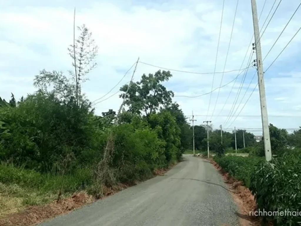 ขายด่วน ที่ดิน ถมเรียบร้อย ถนน ชัยภูมิ-สี่คิ้วทางลงรถไฟรางคู่