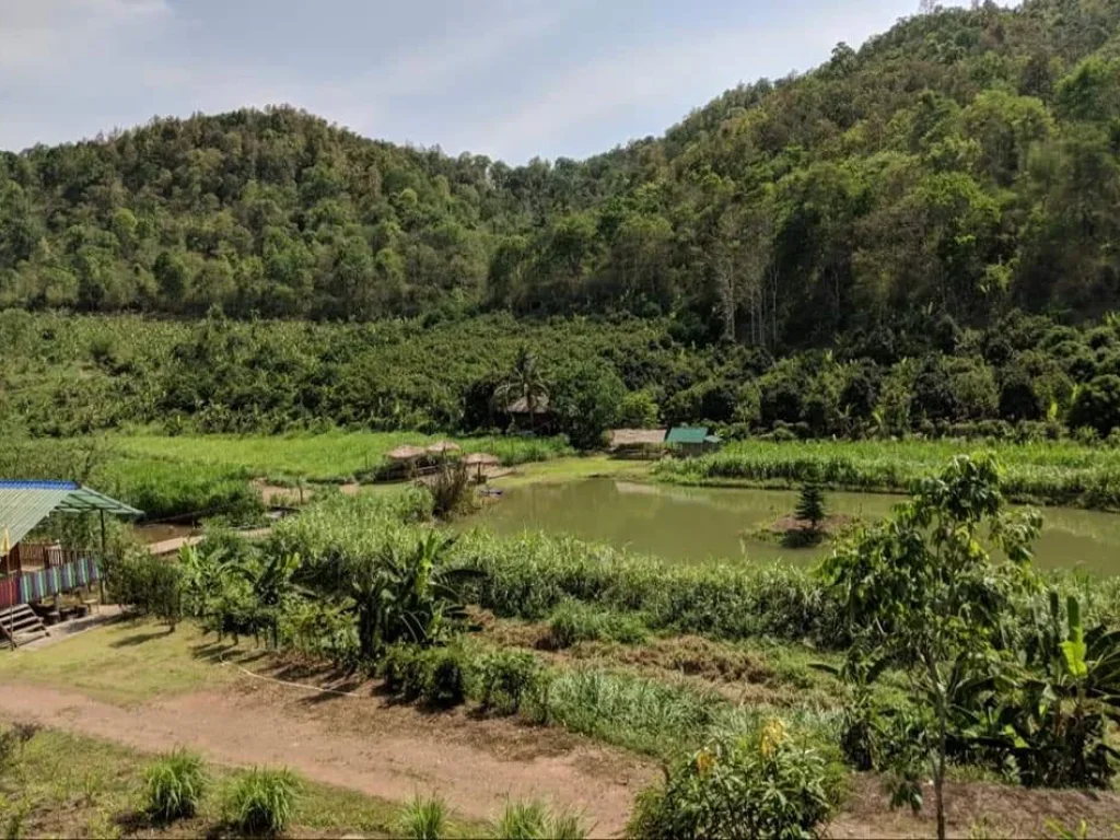 ขายรีสอทร์บ้านช้าง แม่แตง เชียงใหม่