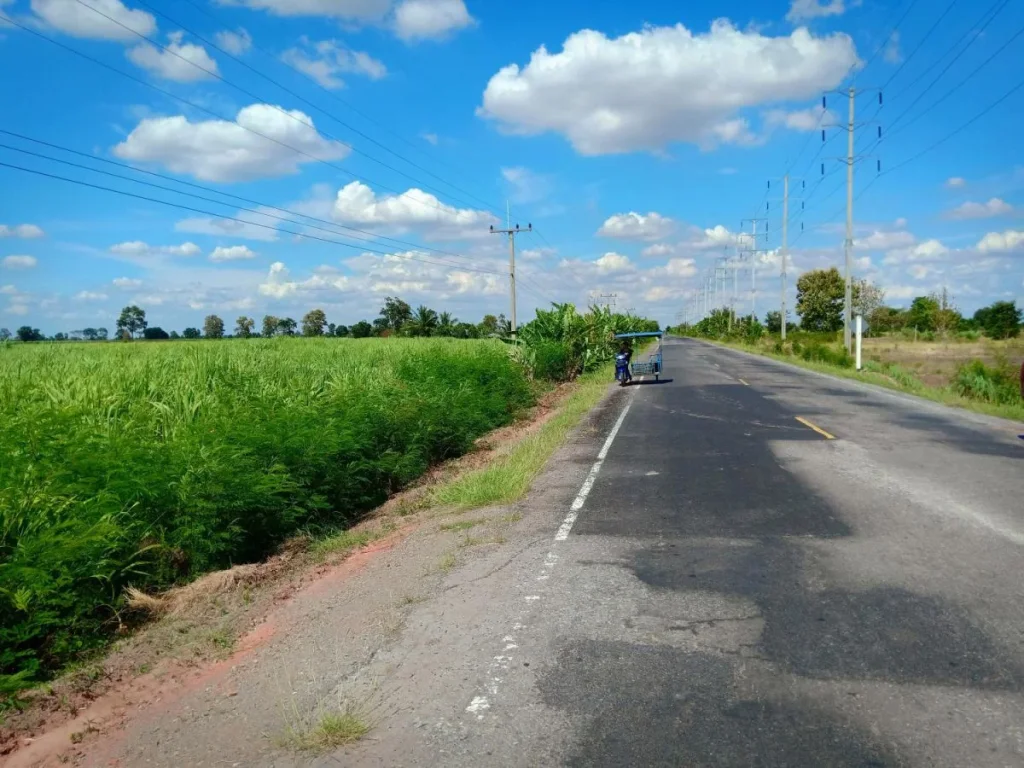 ขายที่ดินสวยๆติดถนนลาดยาง อสีคิ้ว