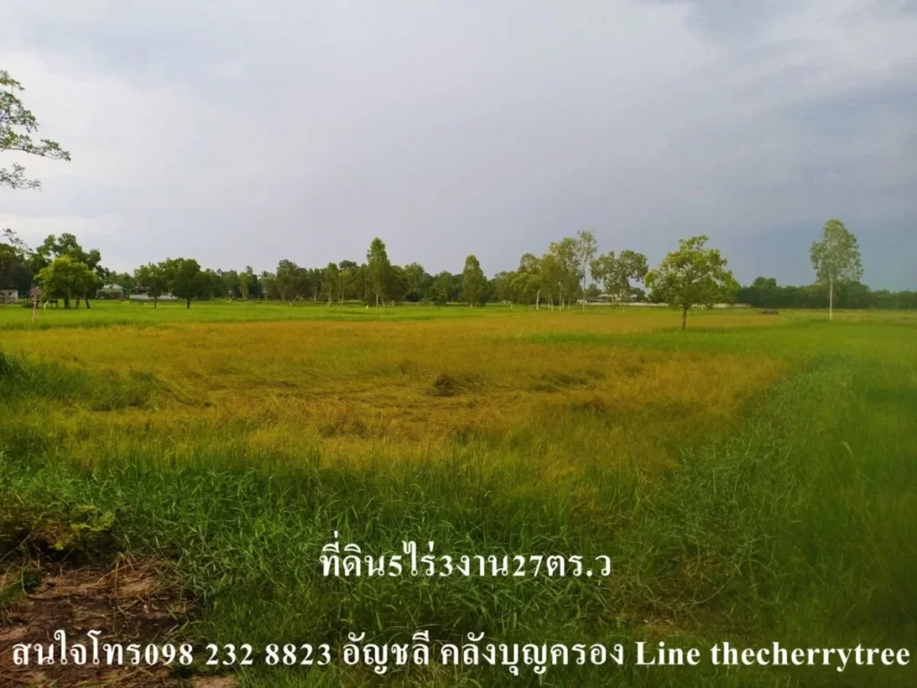 ขายที่ดินกาฬสินธุ์ บเหล็ก ที่ดินเพื่อสร้างบ้านสวนทำเกษตร น้ำถึง ไฟถึง ห่างจากถนนใหญ่เส้นบ้านเหล็กเพียง200เมตร5ไร่3งาน27ตรว ขายเพียง2ล้าน ถูกและดีต้อ