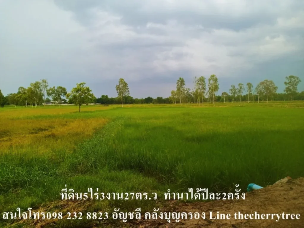 ขายที่ดินกาฬสินธุ์ บเหล็ก ที่ดินเพื่อสร้างบ้านสวนทำเกษตร น้ำถึง ไฟถึง ห่างจากถนนใหญ่เส้นบ้านเหล็กเพียง200เมตร5ไร่3งาน27ตรว ขายเพียง2ล้าน ถูกและดีต้อ