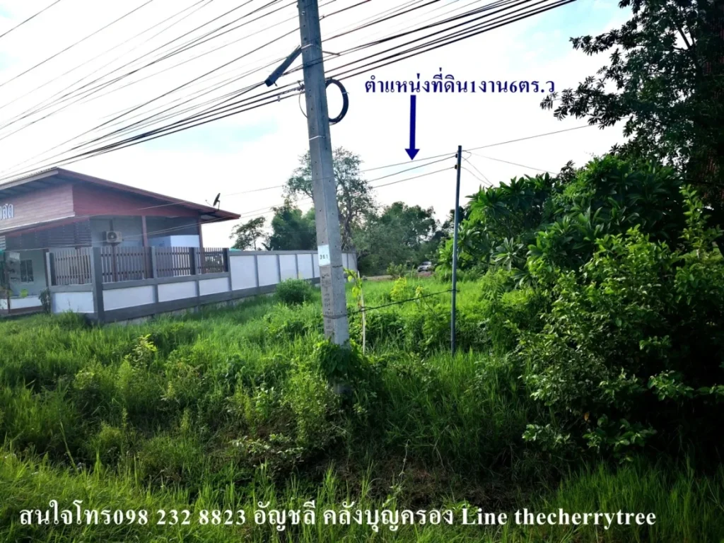 ขายที่ดิน106ตรวติดถนนใหญ่เส้นกาฬสินธุ์ขอนแก่น ตรงข้ามบ้านเปลือย เลยตลาดบ้านโคกสีมาราว3กิโล ราคา12ล้านบาท