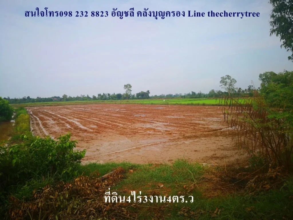 ขายที่ดินกาฬสินธุ์ ที่ดินเพื่อการเกษตร นาปีนาปังได้ ตหลุบ 4ไร่3งาน4ตรว ราคา15ล้านบาท ถูกๆจ้าเน้นซื้อง่ายขายคล่องจ้า