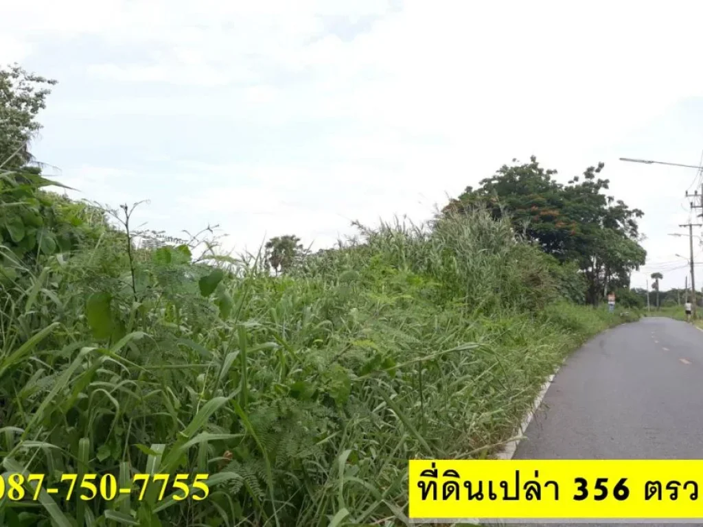 ขายที่ดินเปล่า 356 ตรว เมืองปทุม