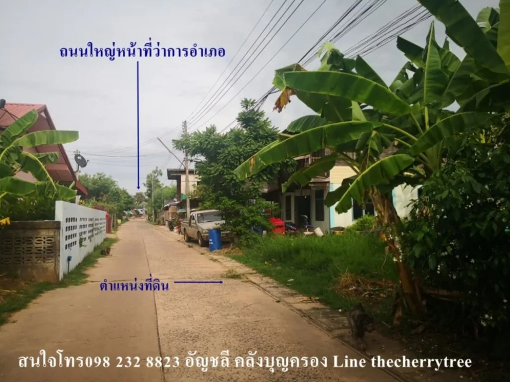 ขายที่ดิน62ตรวใจกลางเมืองสมเด็จ ในซอยโจโจ้ปลาเผา ตรงข้ามที่ว่าการอำเภอเมืองสมเด็จ เพียง45แสนบาท