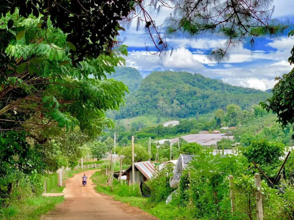 ขายที่ดินโป่งแย่งห่างถนนหลัก 900เมตร แม่ริม เชียงใหม่