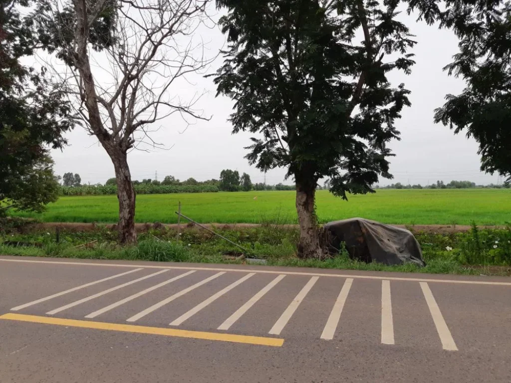 ขายที่ดินติดถนน 20 ไร่ ตบางแตน บ้านสร้าง ปราจีนบุรี