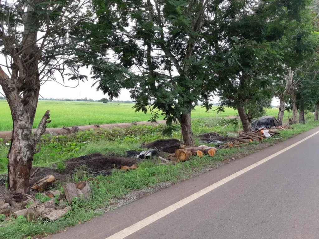 ขายที่ดินติดถนน 20 ไร่ ตบางแตน บ้านสร้าง ปราจีนบุรี