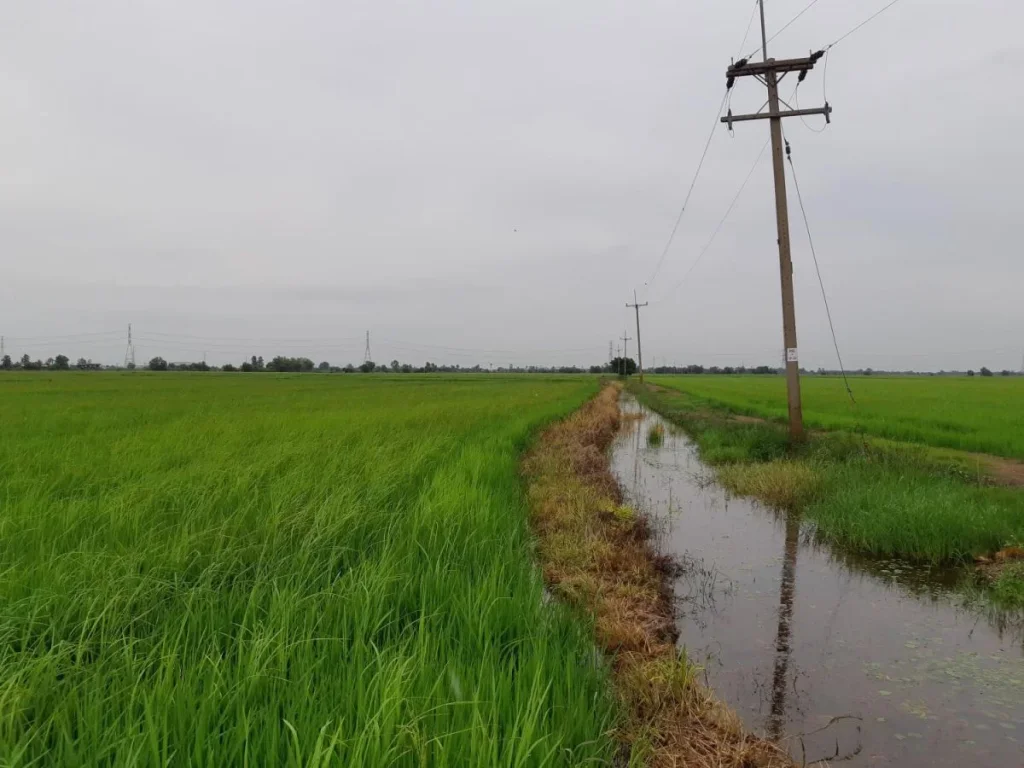 ขายที่ดินติดถนน 20 ไร่ ตบางแตน บ้านสร้าง ปราจีนบุรี