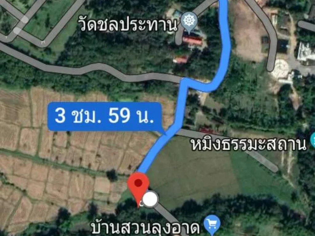 ขายที่ดิน 1 ไร่ 1 งาน 55 ตรว