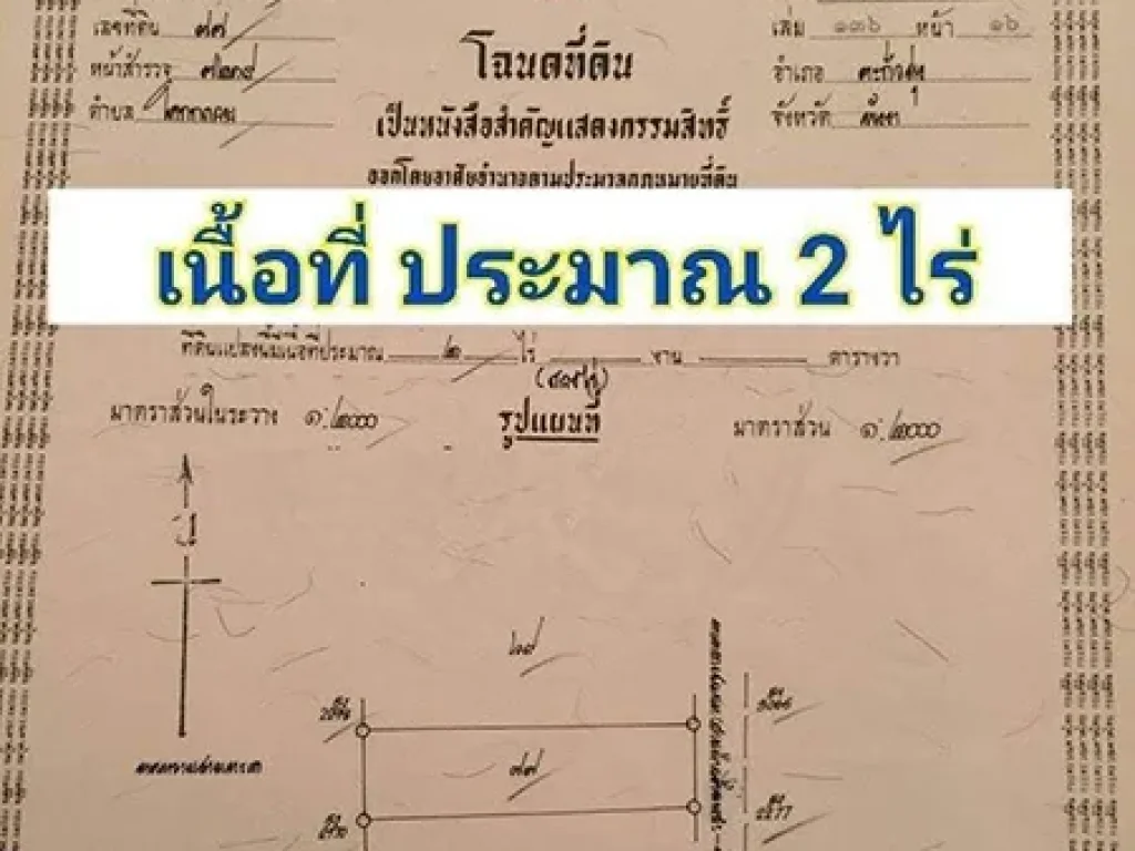 ขายที่ดิน 2 ไร่ อยู่ติดกับ Villa Viva จังหวัดพังงา