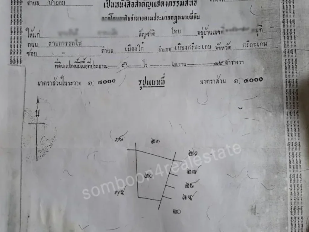 ขายที่ดิน 31 ไร่ ติดถนนใหญ่ กันทรลักษณ์ ศรีสะเกษ