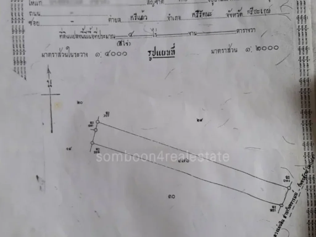 ขายที่ดิน 31 ไร่ ติดถนนใหญ่ กันทรลักษณ์ ศรีสะเกษ