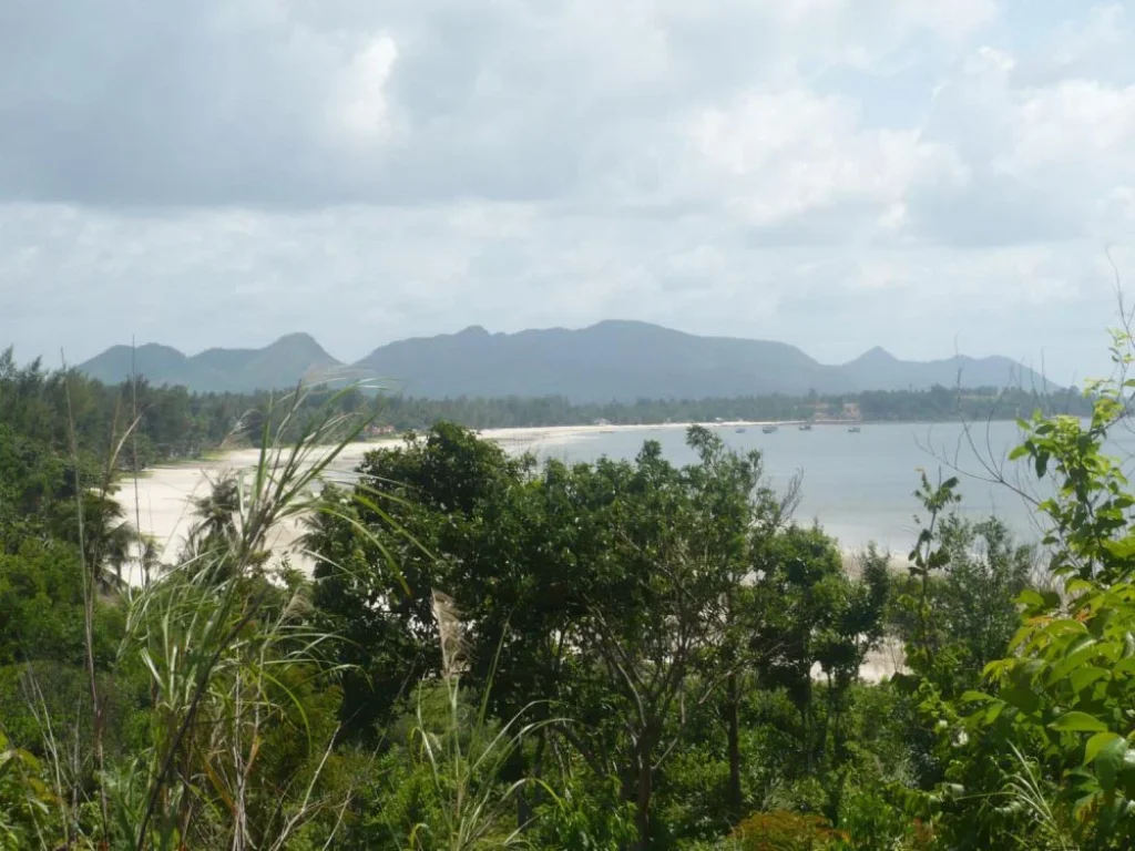 Sale Nice Land area 3332 sqm closed big road wide for Villa or small Business near beach and tourist Chumphon