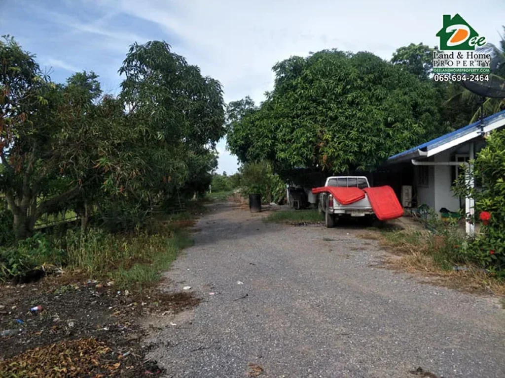 ขายที่ดินสวนเกษตร 14 ไร่ พร้อมบ้านเดี่ยว ถมแล้ว ติดถนน2ด้าน บางสาม บางตะเคียน สองพี่น้อง สุพรรณบุรี LA0137