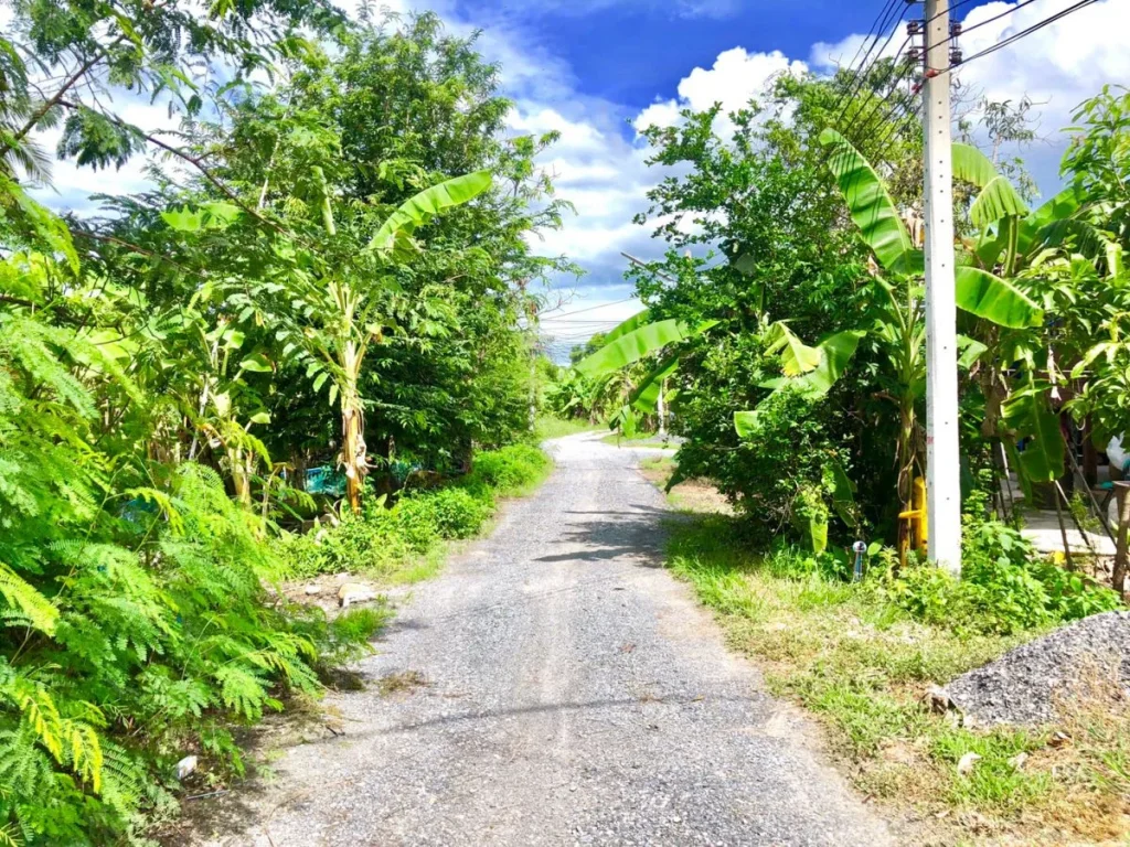 ขายที่ดิน 3งาน 55ตรว ตพรหมณี อเมือง จนครนายก ใกล้ถนนสุวรรณศร