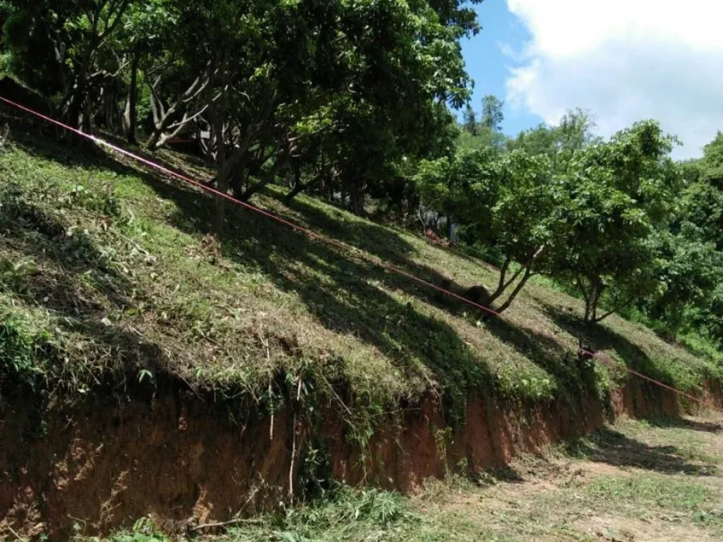 ขายที่ดินพร้อมบ้านท่าช้างติดแม่น้ำ ดอยหล่อ เชียงใหม่