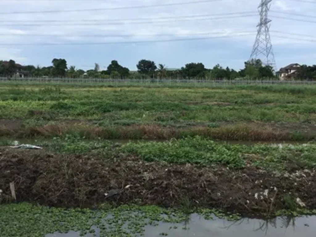 ขายที่ดิน 1 ไร่ รังสิต-คลอง13 จังหวัดปทุมธานี