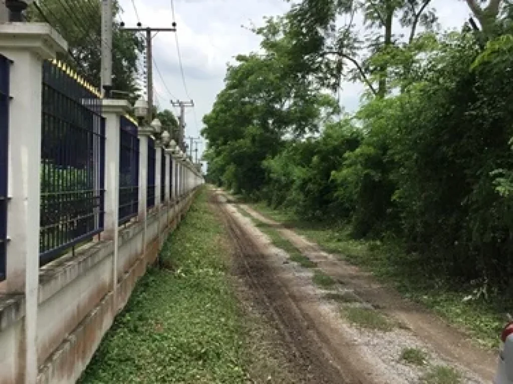 ขายที่ดิน 1 ไร่ รังสิต-คลอง13 เขตธัญบุรี จังหวัดปทุมธานี